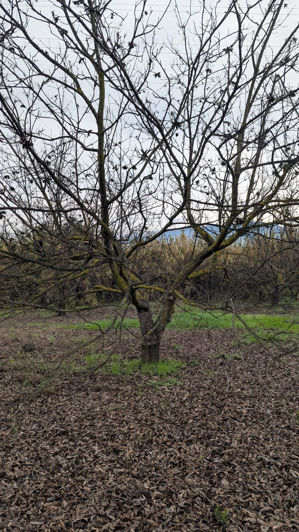 Image No.26-Plot for sale