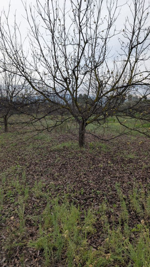 Image No.27-Plot for sale