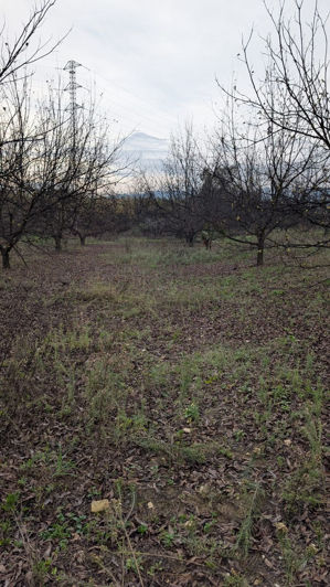 Image No.28-Plot for sale