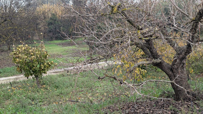 Image No.4-Plot for sale