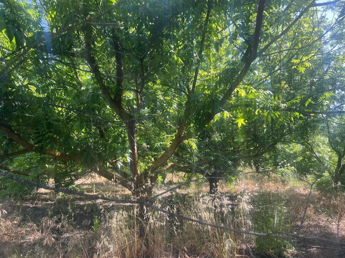 Image No.7-Plot for sale