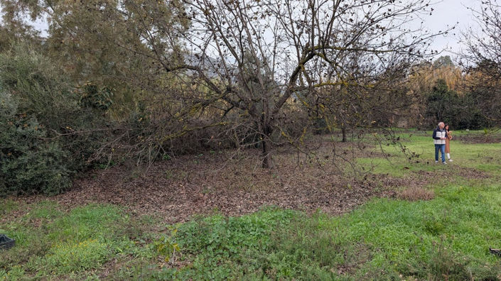 Image No.7-Plot for sale