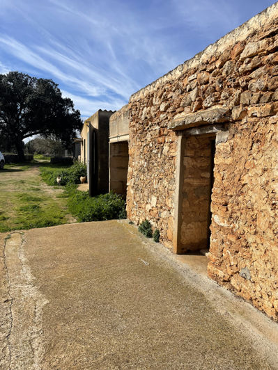 Image No.19-Maison de campagne à vendre à Felanitx