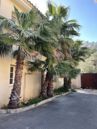 Image No.30-3 Bed Townhouse for sale