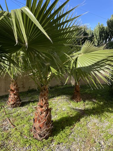 Image No.31-3 Bed Townhouse for sale