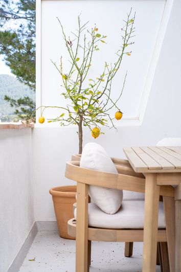 Image No.30-3 Bed Apartment for sale