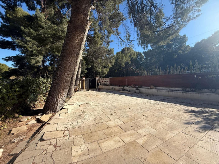 Image No.31-Villa de 3 chambres à vendre à Elda