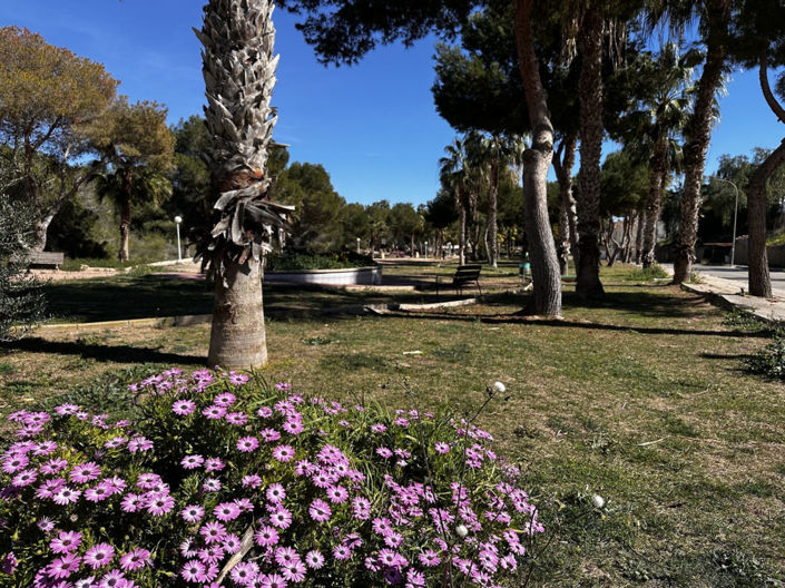 Image No.23-Villa de 3 chambres à vendre à Orihuela Costa