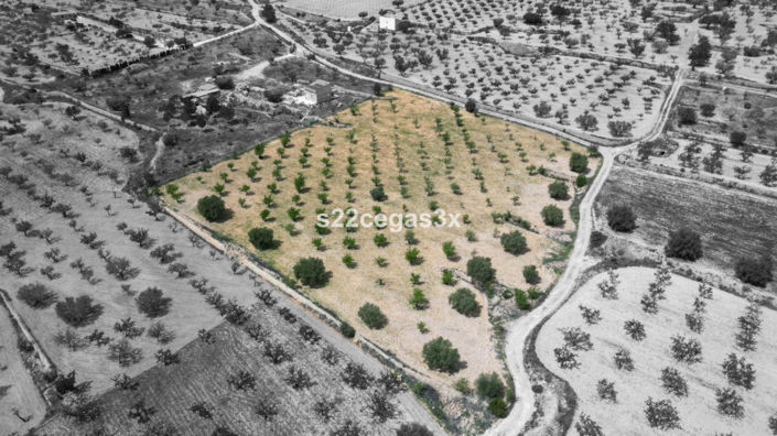 Image No.1-Plot for sale