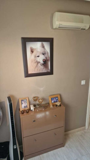 Image No.31-3 Bed Villa for sale