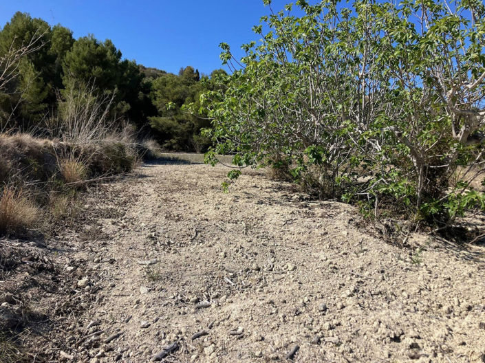 Image No.10-Plot for sale