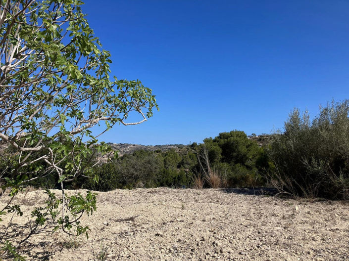 Image No.17-Plot for sale