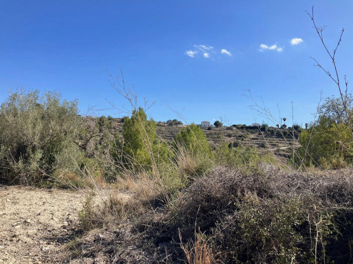 Image No.19-Plot for sale