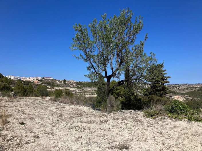 Image No.6-Plot for sale