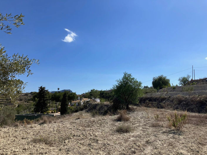 Image No.8-Plot for sale