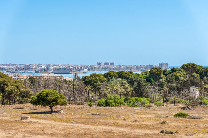 Image No.33-Appartement de 2 chambres à vendre à Torrevieja