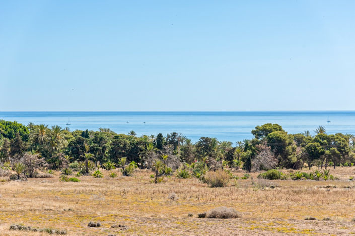 Image No.34-Appartement de 2 chambres à vendre à Torrevieja