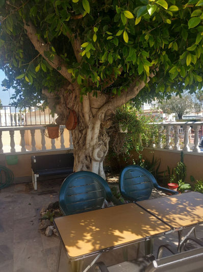 Image No.33-Villa de 3 chambres à vendre à Orihuela Costa