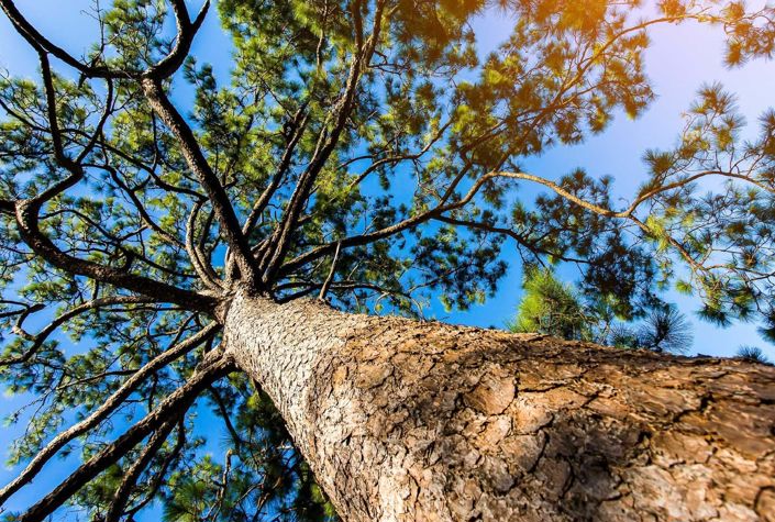 Image No.17-3 Bed Villa for sale