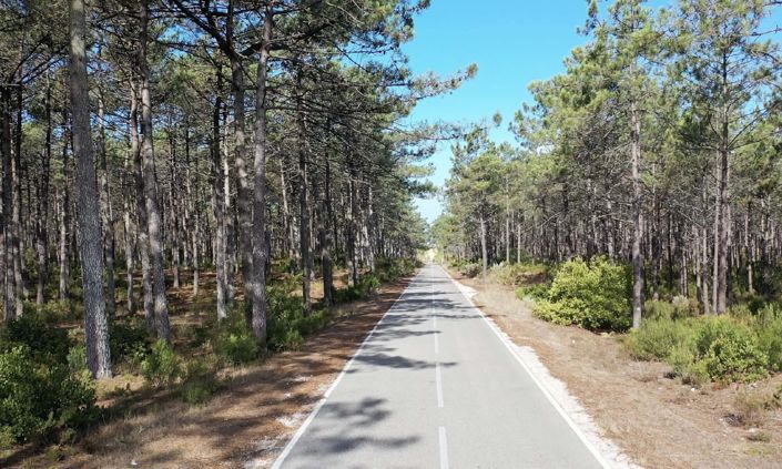 Image No.18-2 Bed Apartment for sale