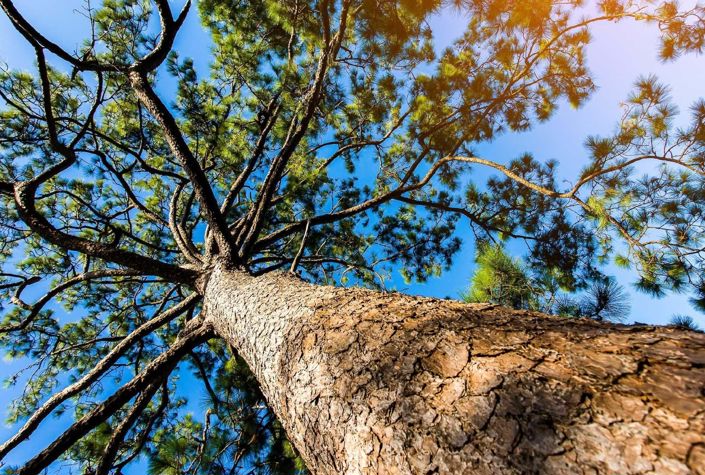 Image No.14-3 Bed Villa for sale