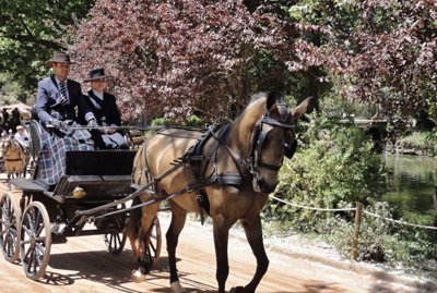 95-635868-78d1f4f8b6655591b02d22fabb36a692d73