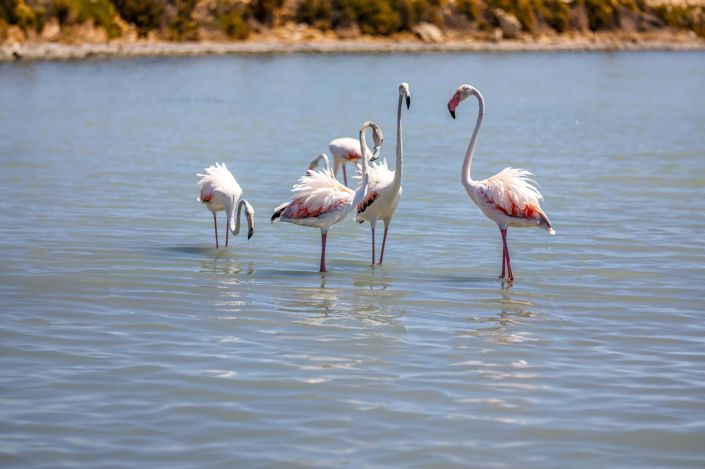 Image No.20-3 Bed Villa for sale