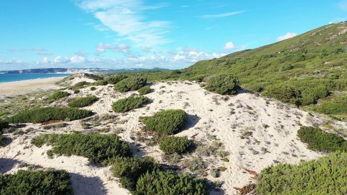 Image No.37-3 Bed Villa for sale