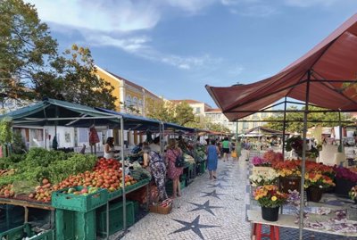 95-651912-78d1f4f8b6655591b02d22fabb36a692d73