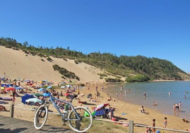 95-651894-78d1f4f8b6655591b02d22fabb36a692d73