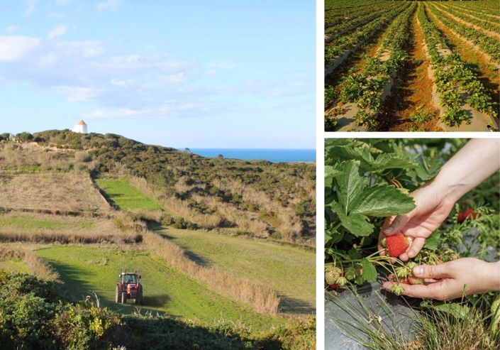 Image No.18-Villa de 3 chambres à vendre à Alcobaça