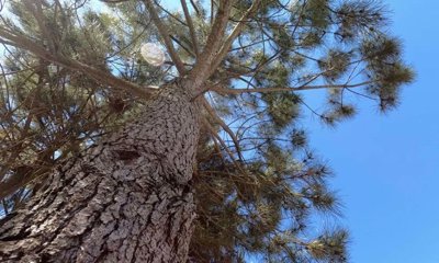 95-625327-78d1f4f8b6655591b02d22fabb36a692d73