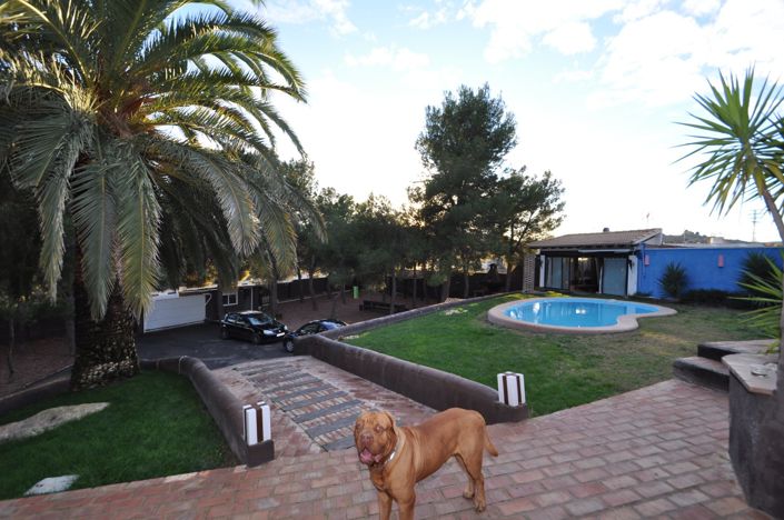 Image No.26-Villa de 3 chambres à vendre à Monóvar