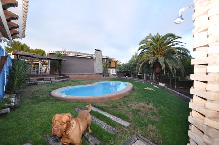 Image No.3-3 Bed Villa for sale