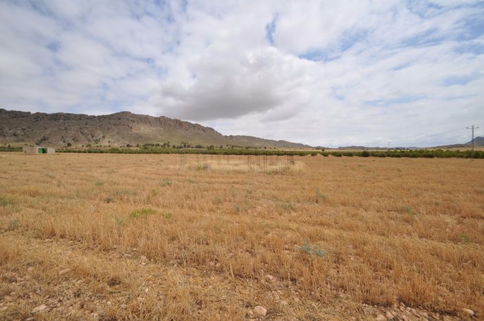 Image No.11-Land for sale