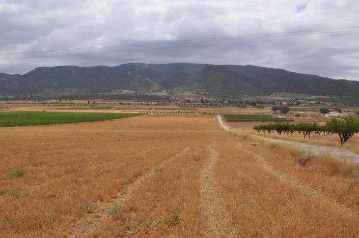 Image No.8-Land for sale
