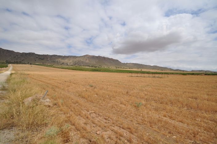 Image No.10-Land for sale
