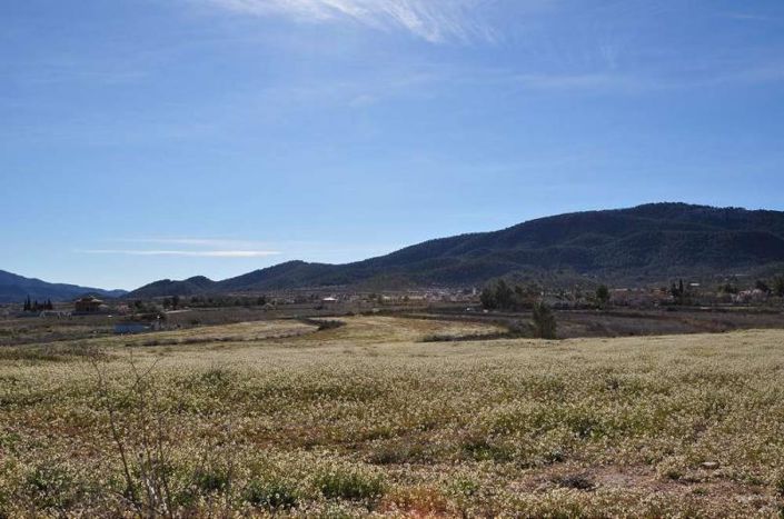 Image No.2-Land for sale