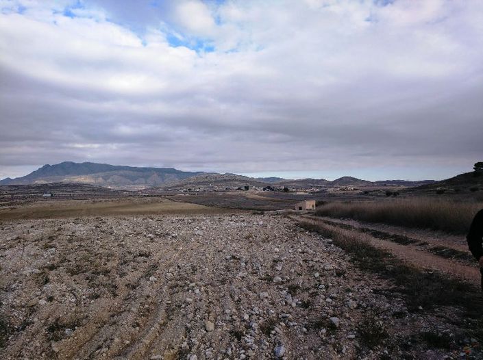 Image No.3-Land for sale