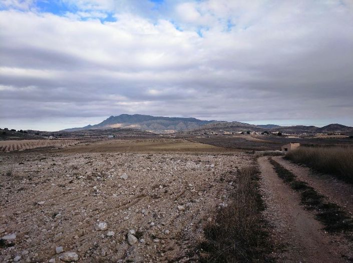 Image No.5-Land for sale