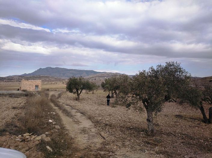 Image No.6-Land for sale
