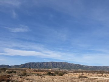 1 - Pinoso, Terreno