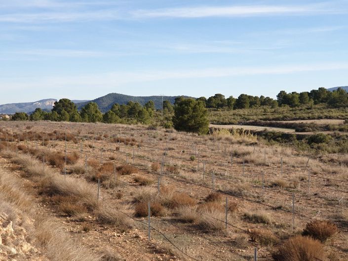 Image No.14-Land for sale