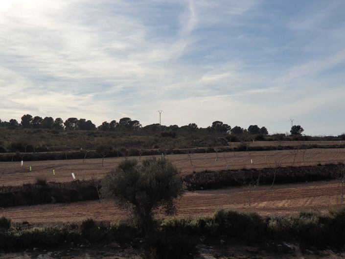 Image No.15-Land for sale