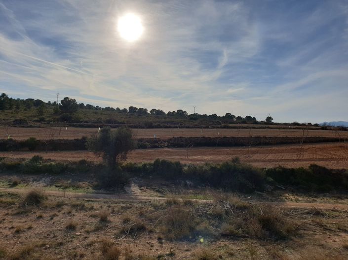 Image No.5-Land for sale