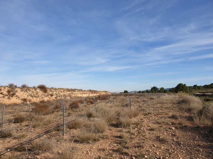 Image No.6-Land for sale