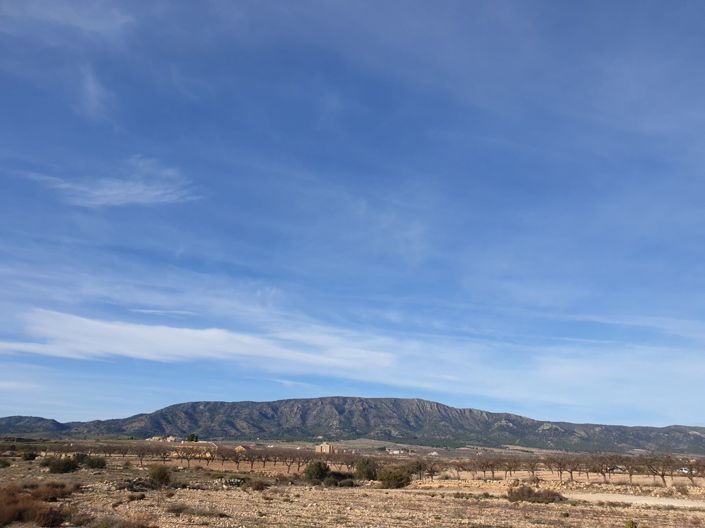 Image No.8-Land for sale
