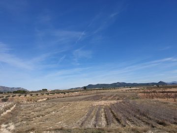 1 - Pinoso, Terreno