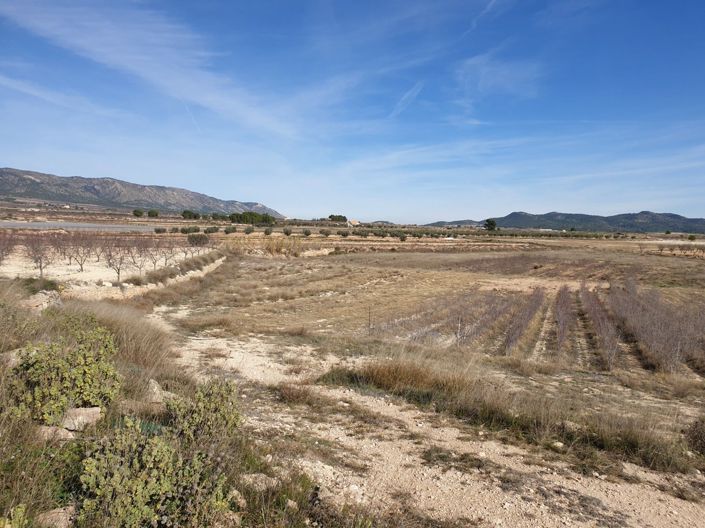 Image No.4-Land for sale