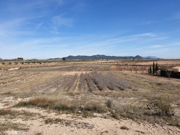 Image No.5-Land for sale